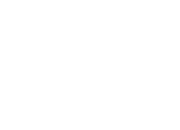 logo img